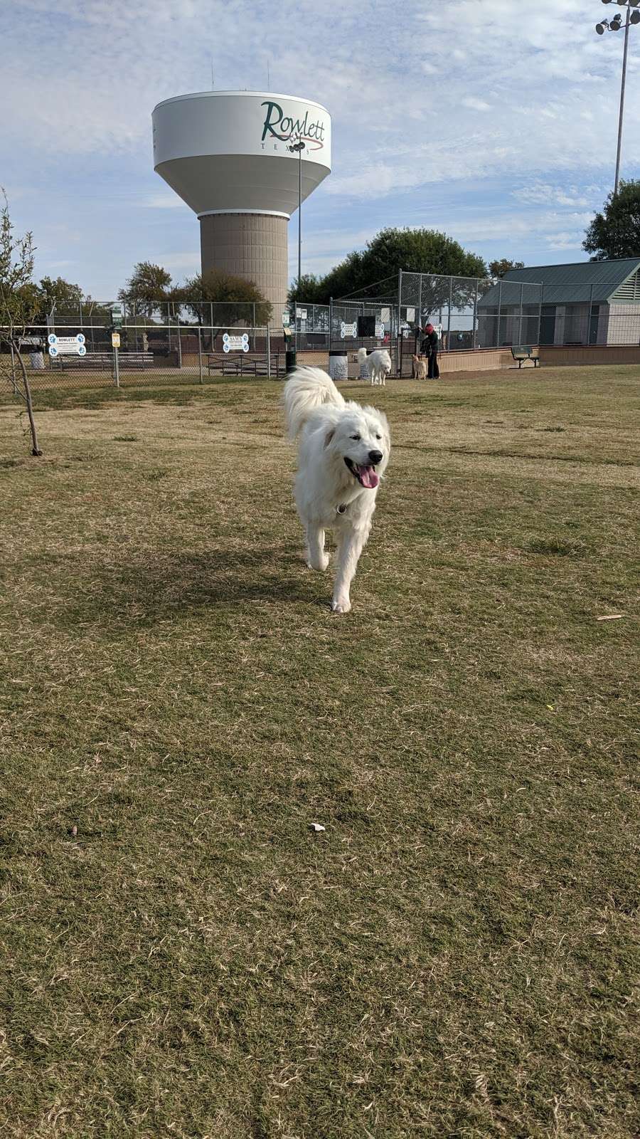 Scentral Dog Park | 4601 Centennial Dr, Rowlett, TX 75088