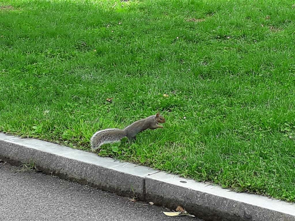 Things Remembered | 1277 Broadway, Saugus, MA 01906, USA | Phone: (781) 231-8413