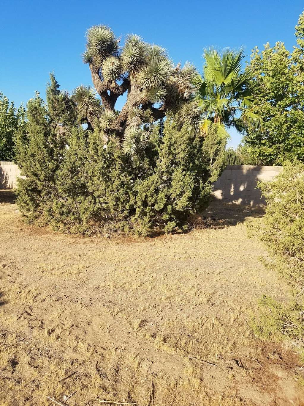 Desert Winds Development | 2349 W Ave O 4, Palmdale, CA 93551, USA