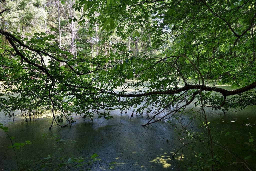 Ledge Creek Forest Conservation Area - Trailhead #1 | 3189 Brogden Rd, Stem, NC 27581, USA | Phone: (919) 496-5902