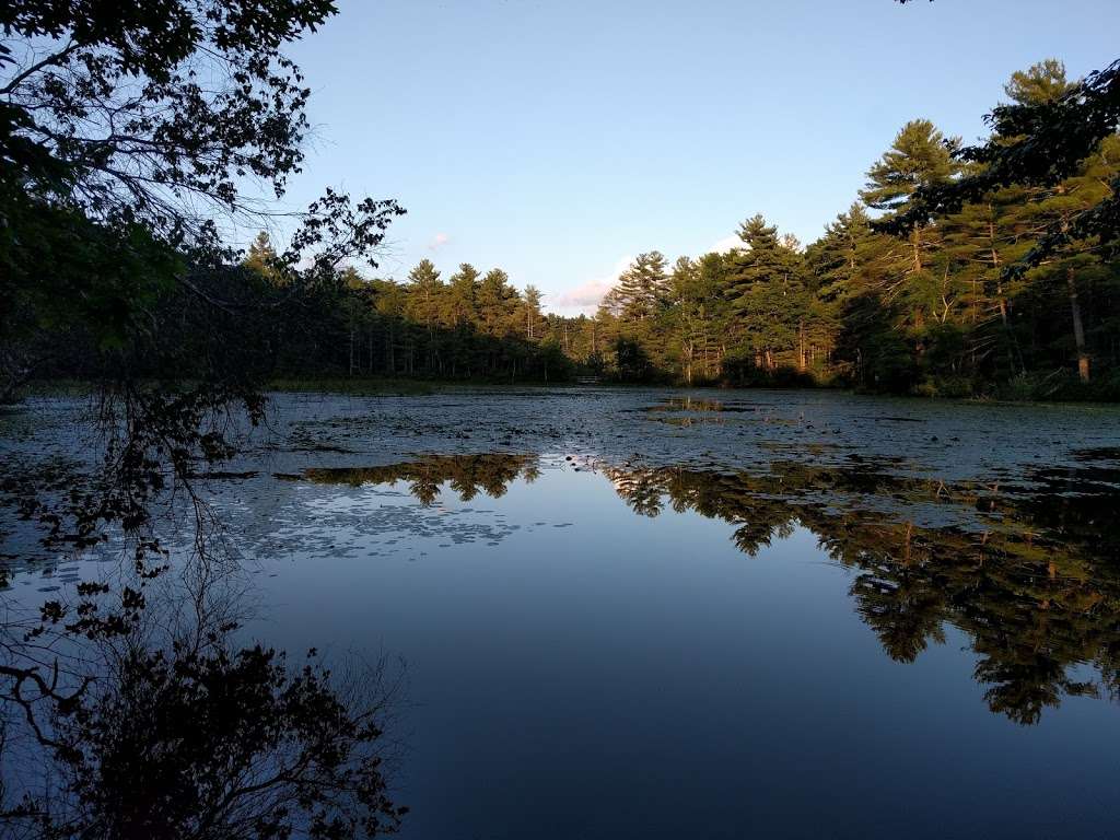 Hopbrook Marsh Conservation Land | Sudbury, MA 01776