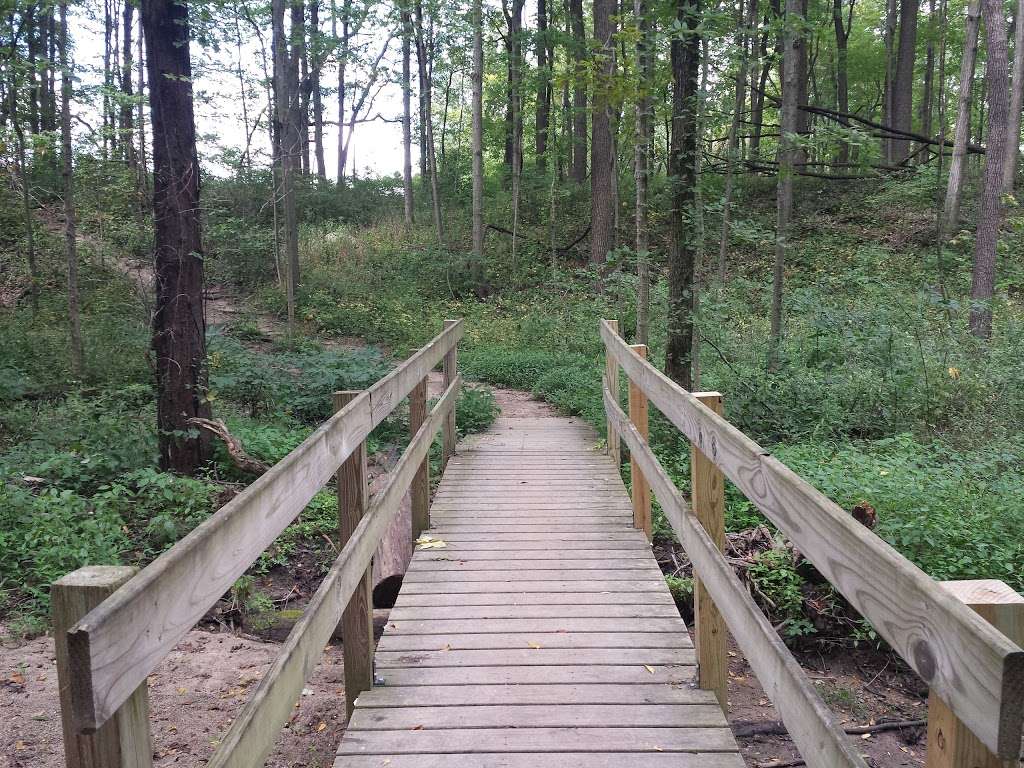Ritchey Woods Nature Preserve | 10410 Hague Rd, Fishers, IN 46038, USA | Phone: (317) 595-3150