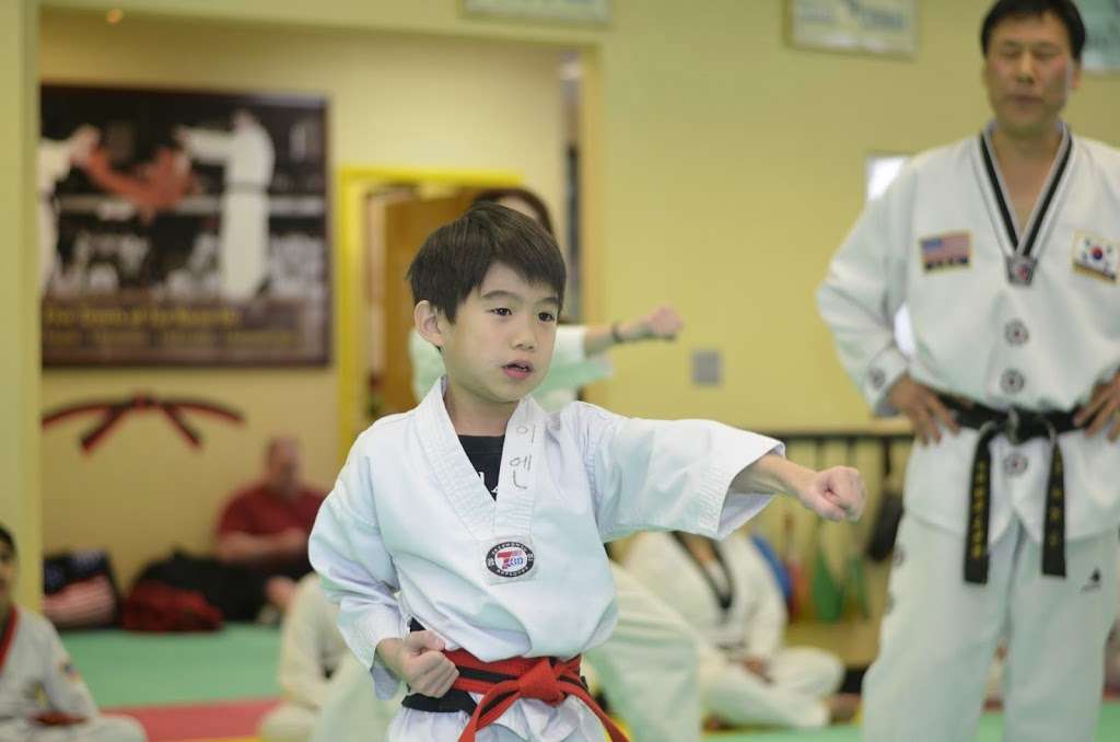 Lees Tae Kwon Do | 220 Triangle Rd, Hillsborough Township, NJ 08844, USA | Phone: (908) 369-6423