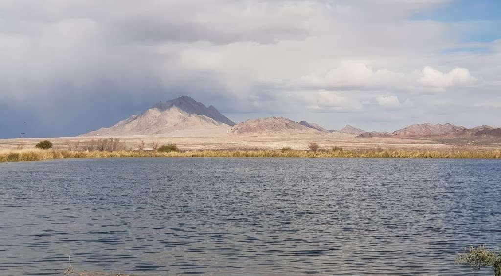 Henderson Bird Viewing Preserve | 350 East Galleria dr., Henderson, NV 89011, USA | Phone: (702) 267-4180