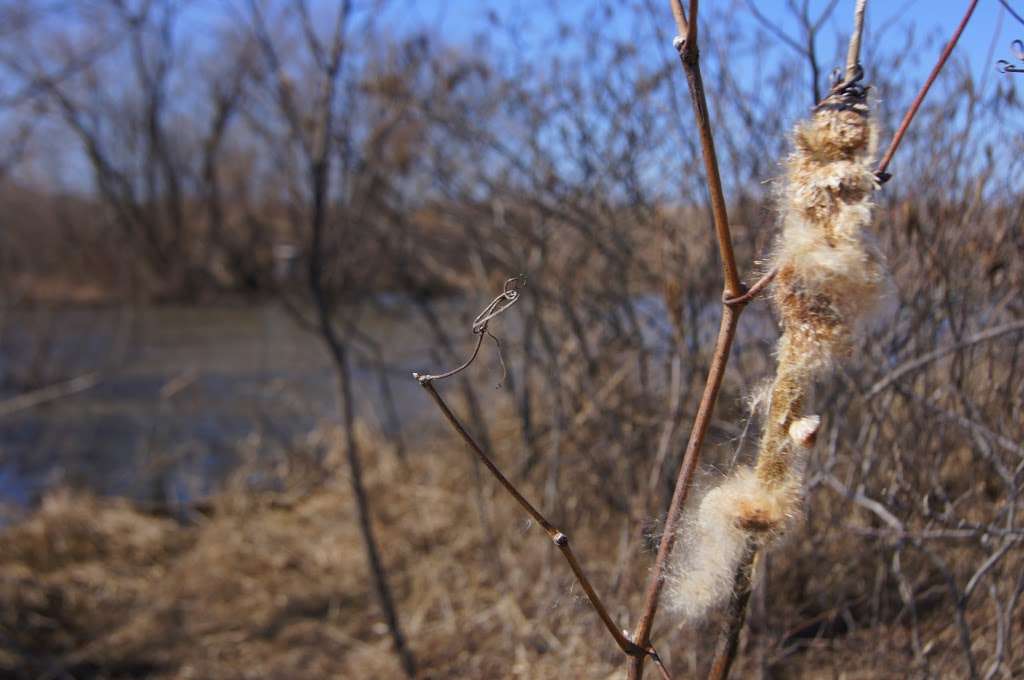 Ralph and Martha Perry Memorial State Wildlife Area | Concordia, MO 64020, USA