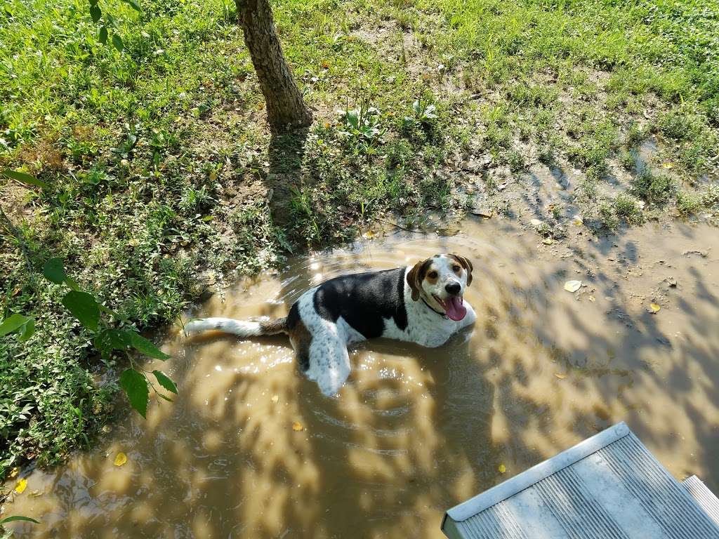 Bark Park | Fort Meade Dog Park, Ernie Pyle St, Fort Meade, MD 20755