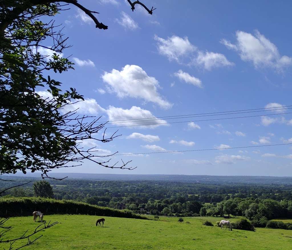 White Rocks Farm Kennels | Underriver, Sevenoaks TN15 0SL, UK | Phone: 01732 761888