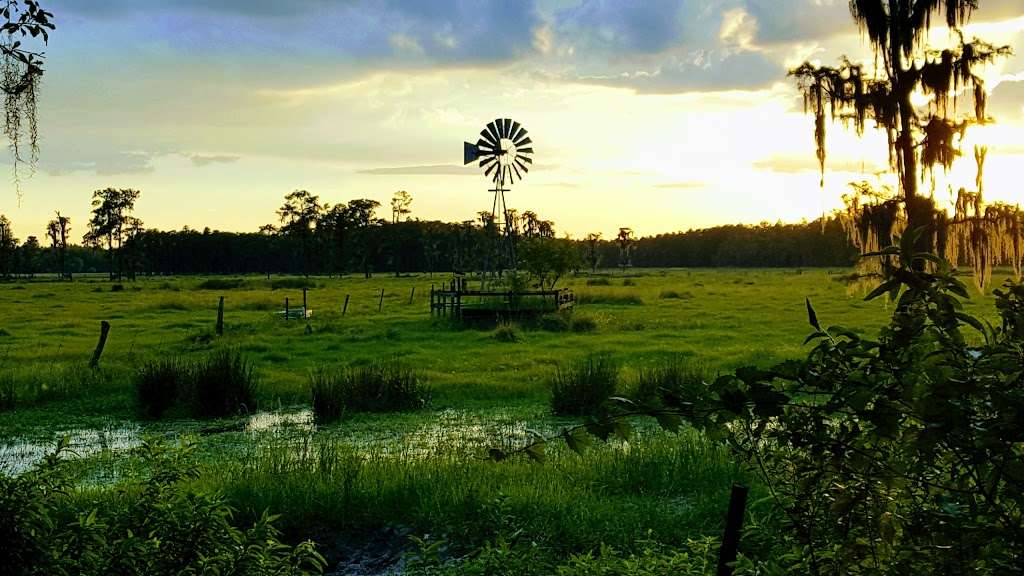 Van Fleet Trail - Polk City Trailhead | Van Fleet Trail, Polk City, FL 33868, USA | Phone: (352) 394-3969