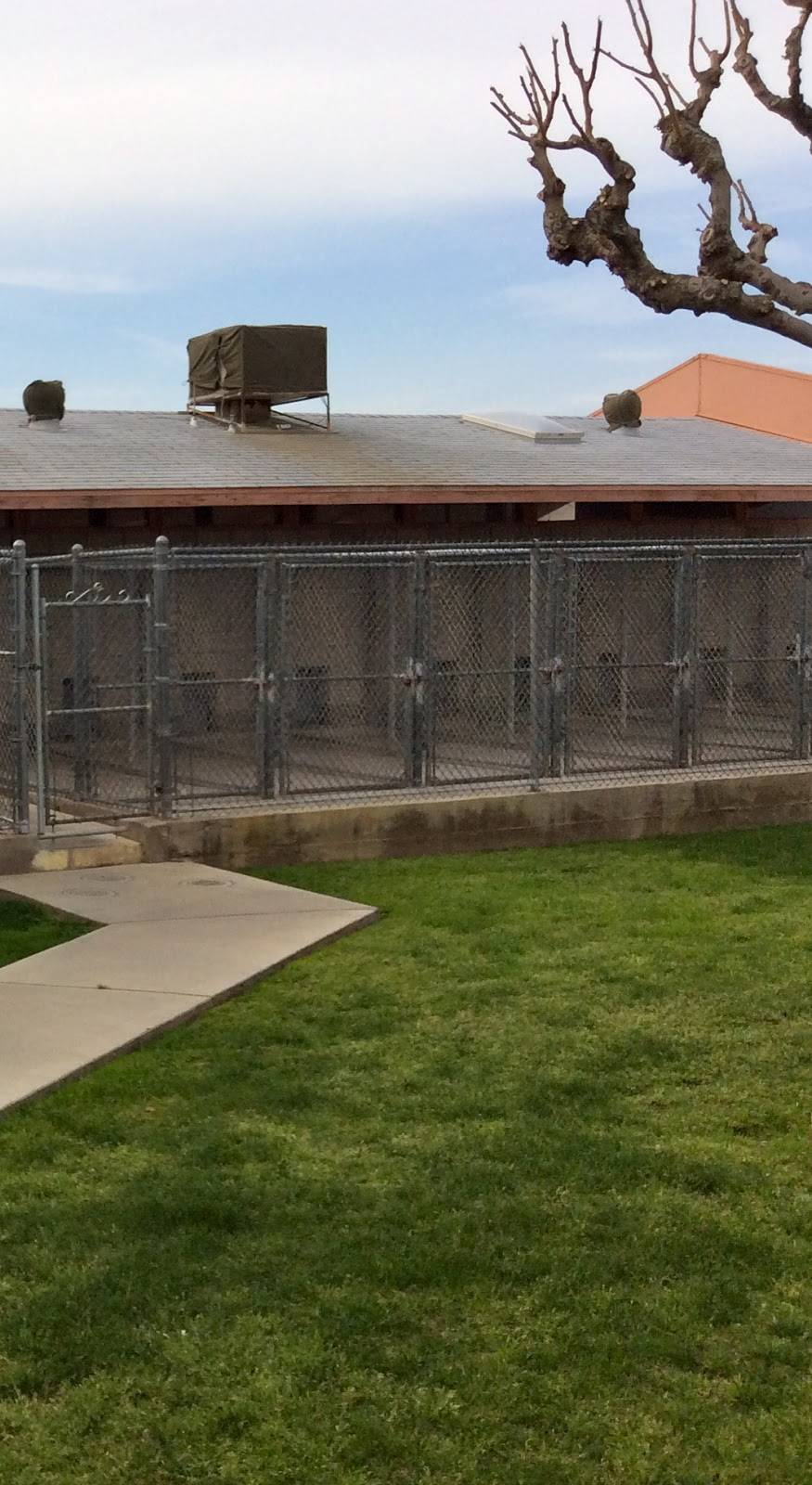 Sczyrs Kennel & Cattery | 7950 E Brundage Ln, Bakersfield, CA 93307, USA | Phone: (661) 366-6031