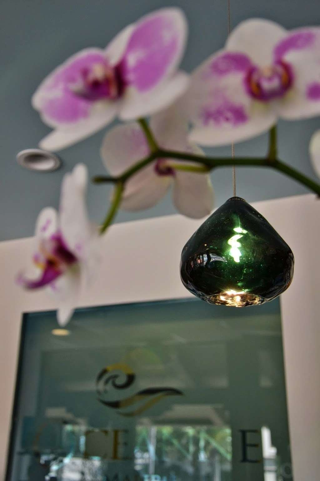 Oceanne Salon and Day Spa | 29169 Heathercliff Rd #220, Malibu, CA 90265, USA | Phone: (310) 457-5262