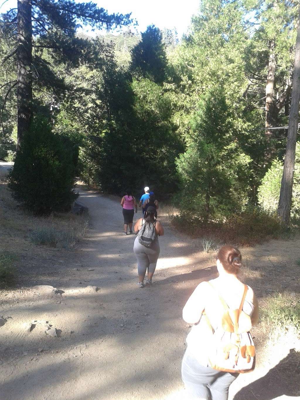 Start Of Hiking Trail | 034303104, Crestline, CA 92325, USA