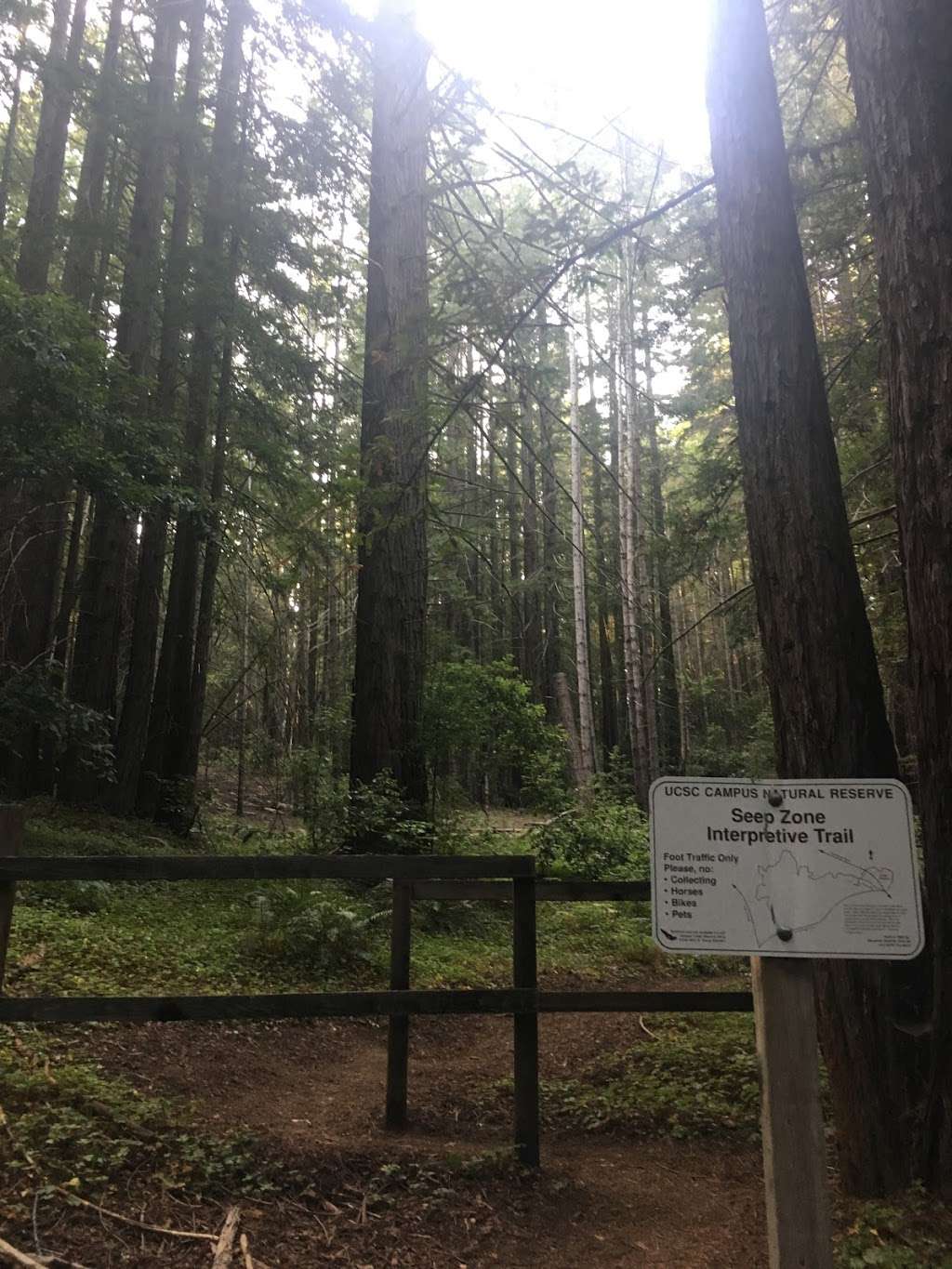 Seep Zone Interpretive Trail | 7487 Red Hill Rd, Santa Cruz, CA 95064, USA