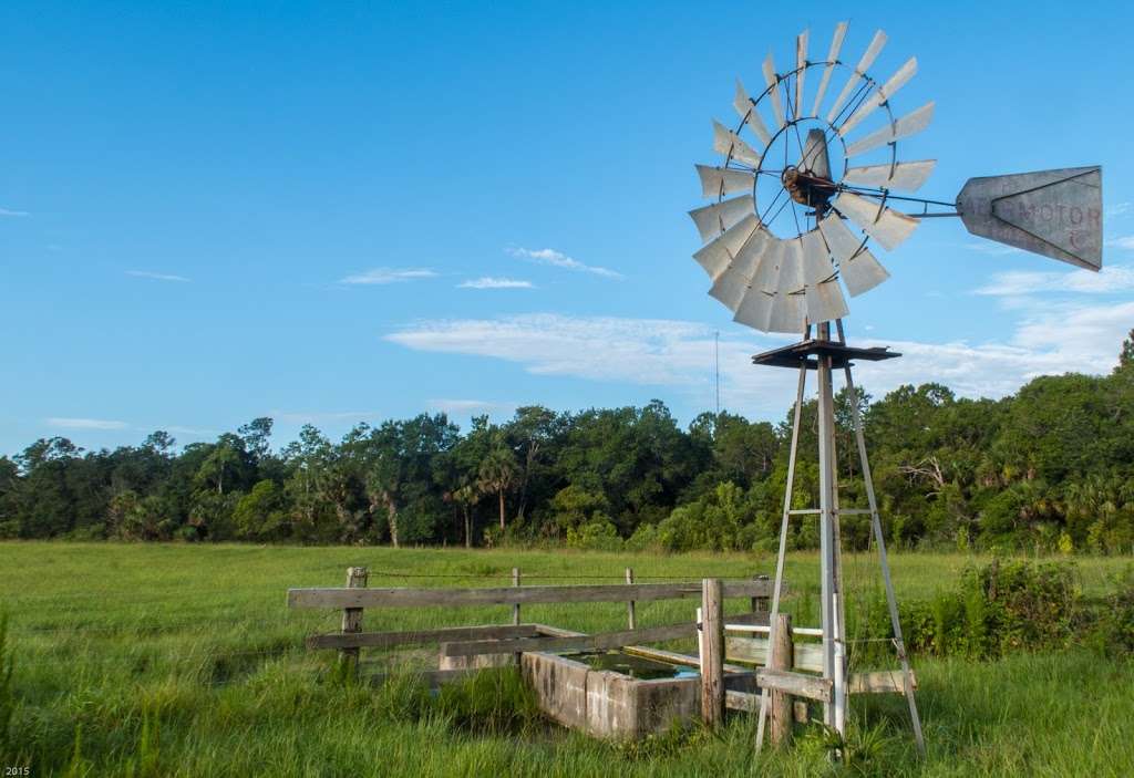 Charles H. Bronson State Forest | Oviedo, FL 32766, USA