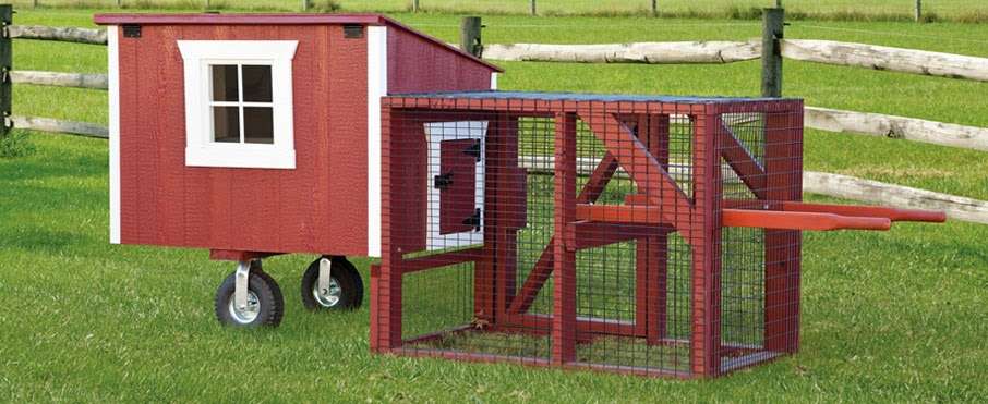 Lancaster Chicken Coops | 400 W Newport Rd, Ronks, PA 17572, USA | Phone: (717) 553-0215