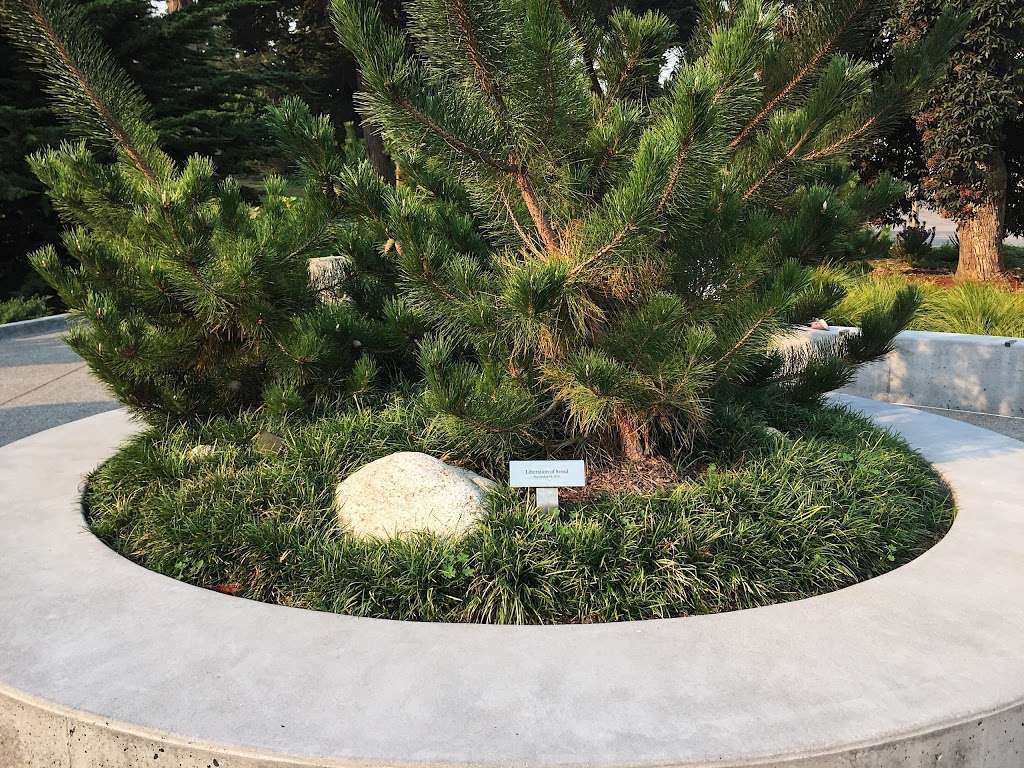 Korean War Memorial | Lincoln Blvd, San Francisco, CA 94129, USA | Phone: (415) 561-4323