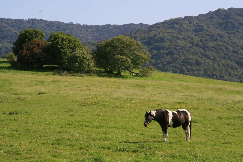 Westwind Community Barn | 27210 Altamont Rd, Los Altos Hills, CA 94022 | Phone: (650) 941-6113