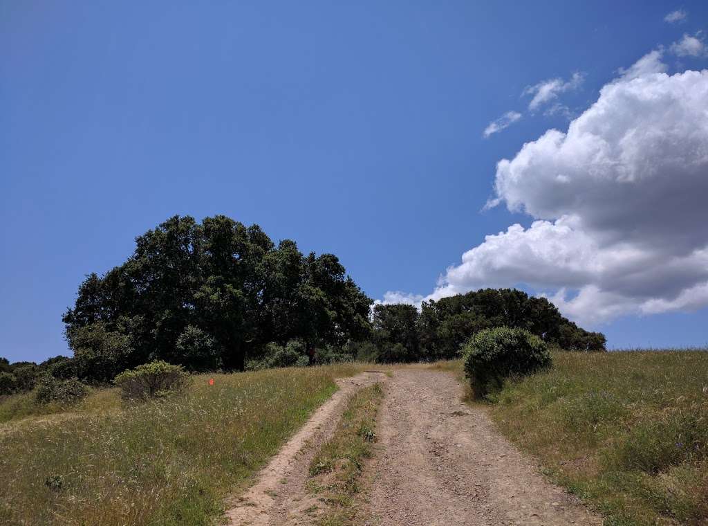 Terra Linda-Sleepy Hollow Divide Northern Preserve | San Rafael, CA 94903, USA Terra Linda-Sleepy Hollow Divide Northern Preserve | San Rafael, CA 94903, USA