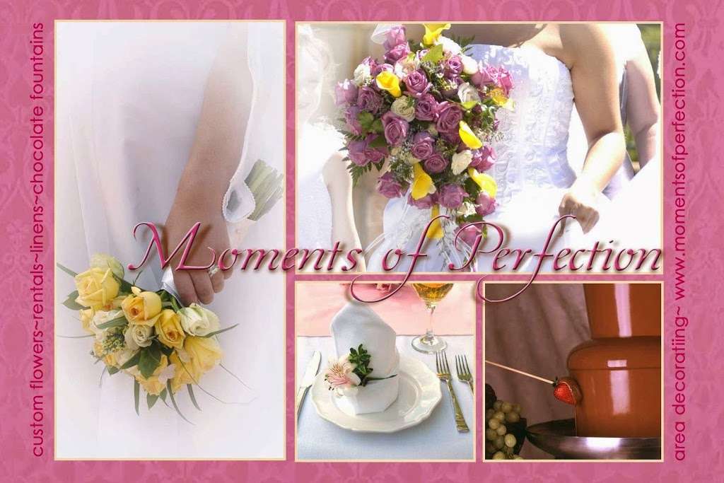 Moments of perfection | 9652 Sierra Vista Rd, Longmont, CO 80504, USA | Phone: (303) 833-5447
