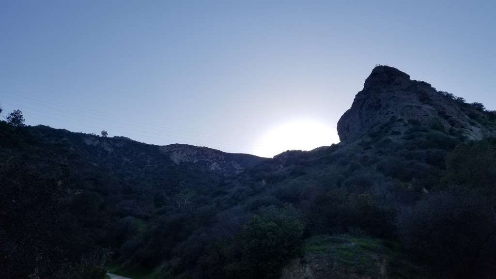 Fern Canyon Trail | Mineral Wells Trail, Los Angeles, CA 90027, USA