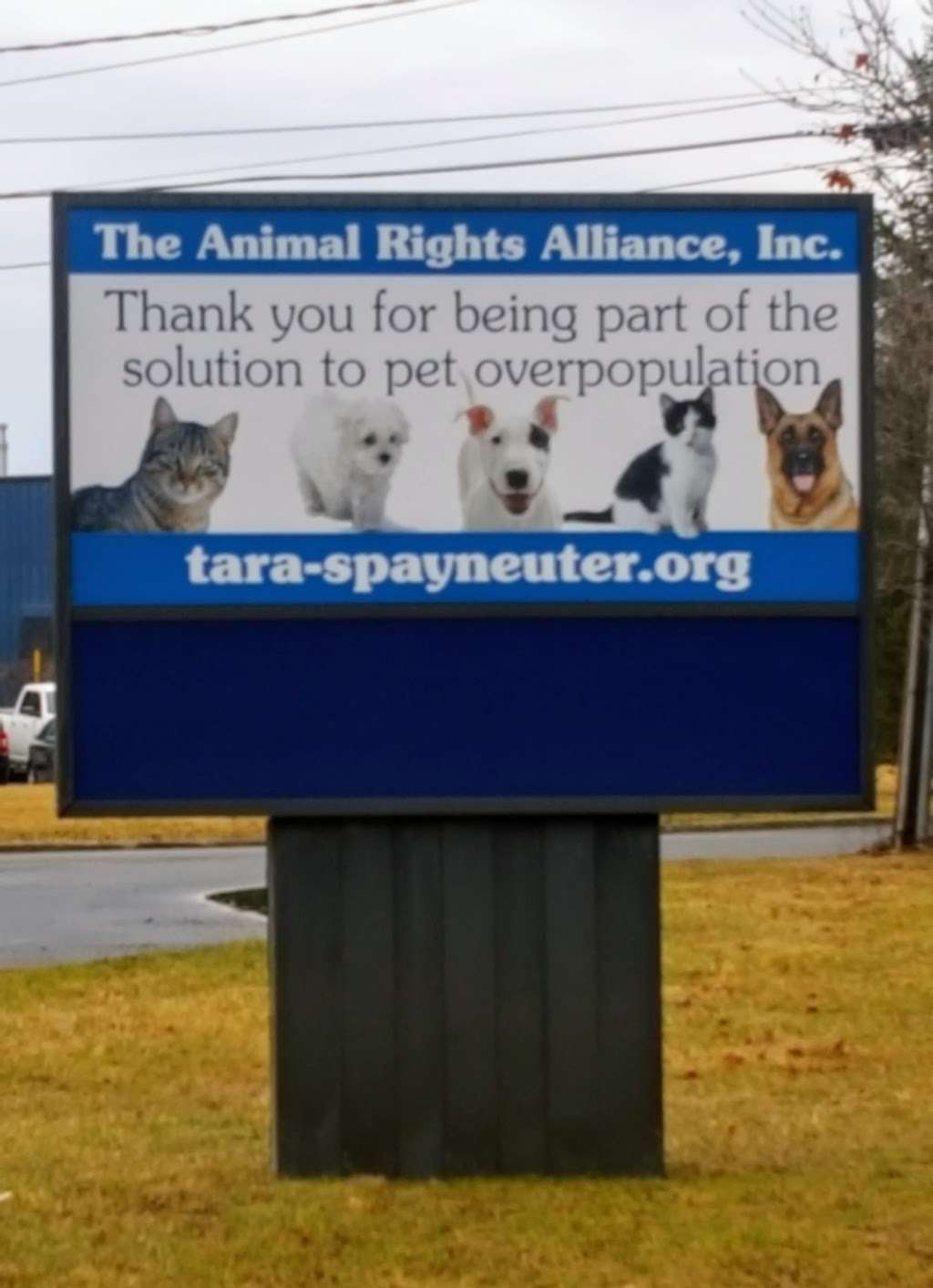 Animal Rights Alliance Inc | 60 Enterprise Pl, Middletown, NY 10941, USA | Phone: (845) 343-1000