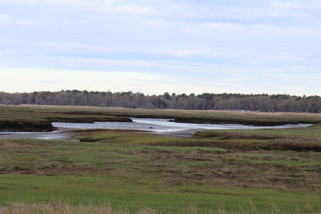 Salisbury Salt Marsh Wildlife Management | Beach Rd, Salisbury, MA 01952 | Phone: (978) 263-4347