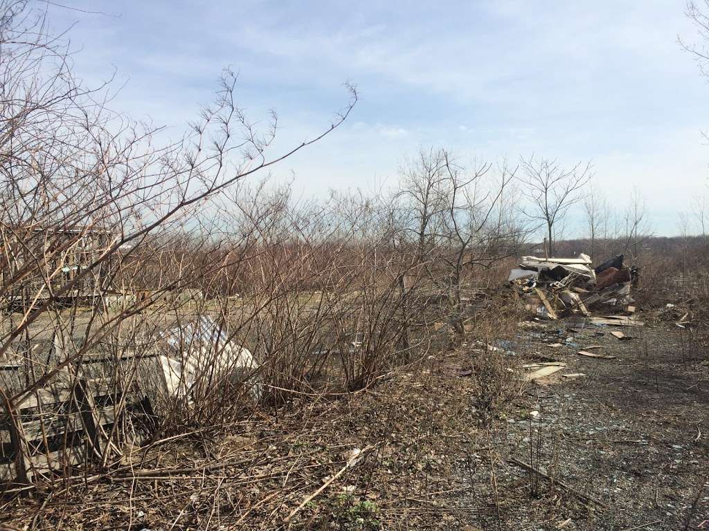 Saw Mill Creek Marsh | South Ave, Staten Island, NY 10314, USA | Phone: (212) 639-9675