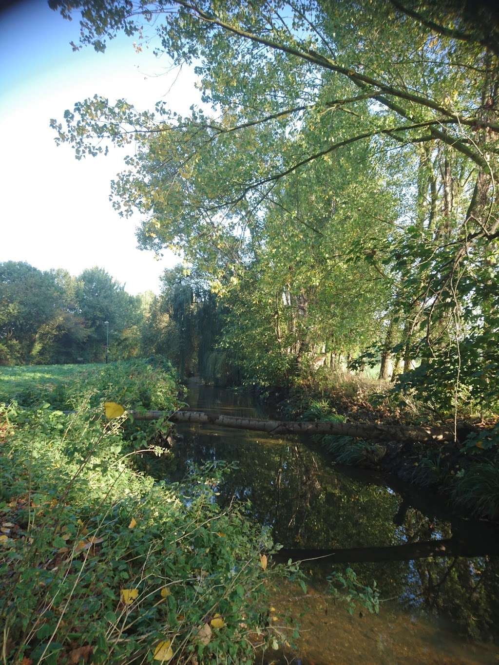 Riverpool Walkway Open Space | Kangley Bridge Road, London, Beckenham BR3 1QP, UK | Phone: 0300 303 8658