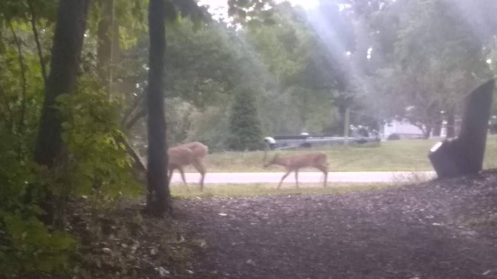 Grosse Ile Wildlife Sanctuary | Thorofare Rd, Grosse Ile Township, MI 48138, USA | Phone: (734) 676-4422