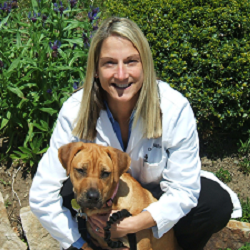 The Newburyport Veterinary Clinic | 177 Storey Ave, Newburyport, MA 01950, USA | Phone: (978) 462-7771