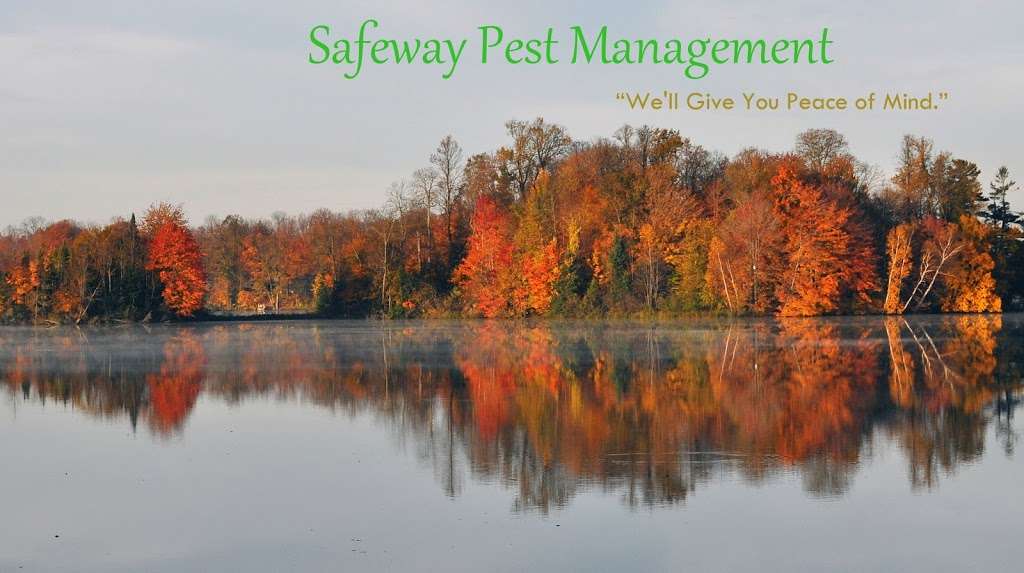 Safeway Pest Management | S83 W18622 Saturn Dr, Muskego, WI 53150, USA | Phone: (262) 679-4422