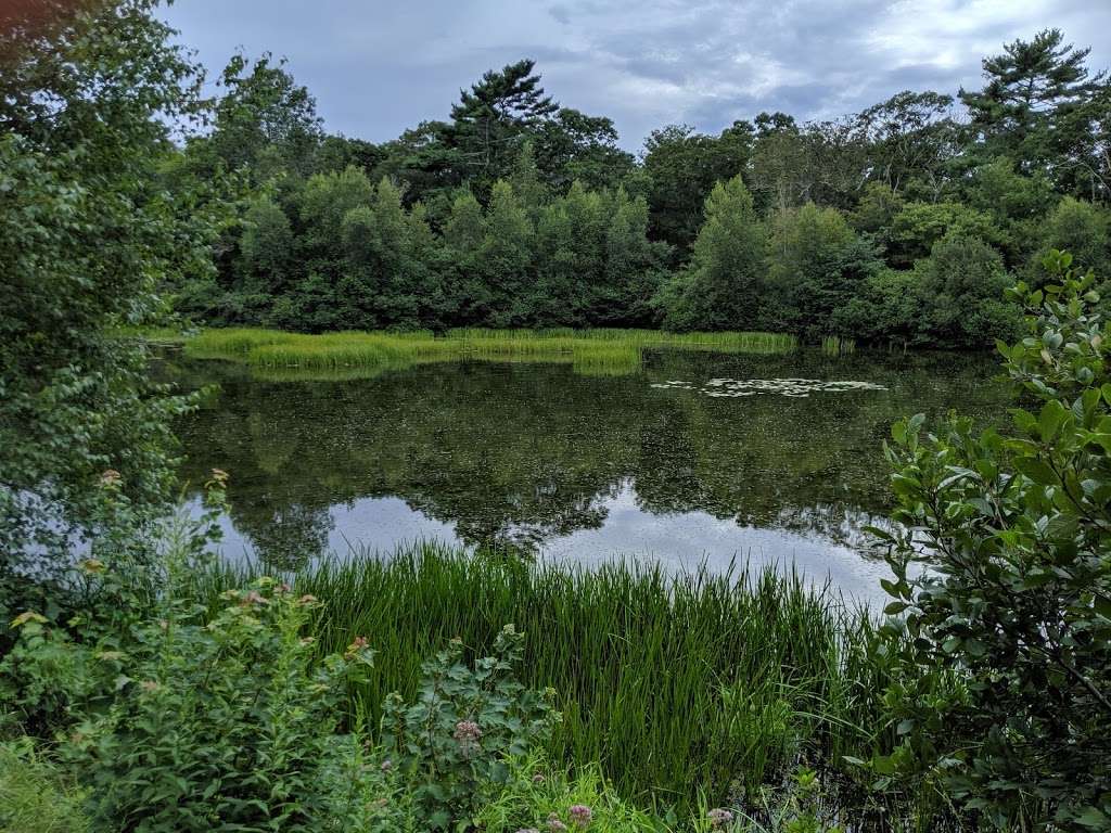 Parking for Mass Audubon Tidmarsh Wildlife Sanctuary | 60 Beaver Dam Rd, Plymouth, MA 02360, USA