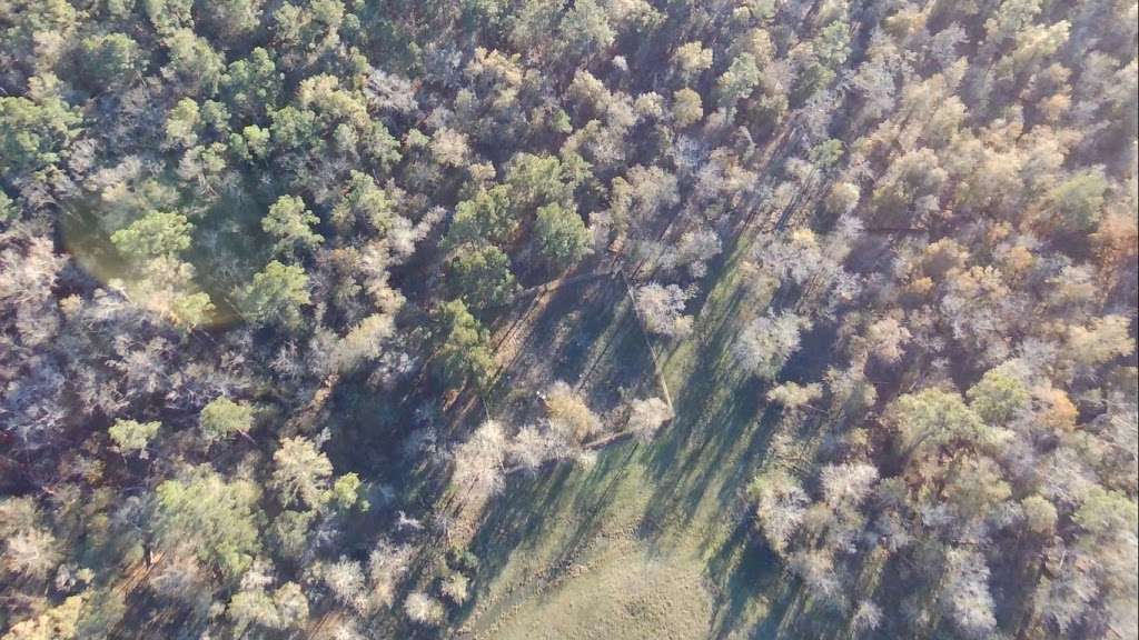 HillendahlEggling (Blue Light) Cemetery in Bear Creek to Langham Creek