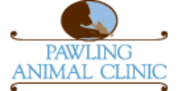Pawling Animal Clinic | 550 NY-22, Pawling, NY 12564, USA | Phone: (845) 855-3316