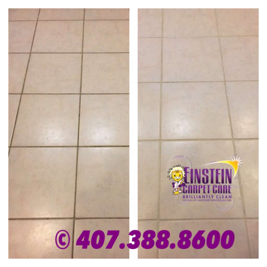 Einstein Carpet Care | 12257 Rebeccas Run Dr, Winter Garden, FL 34787 | Phone: (407) 388-8600