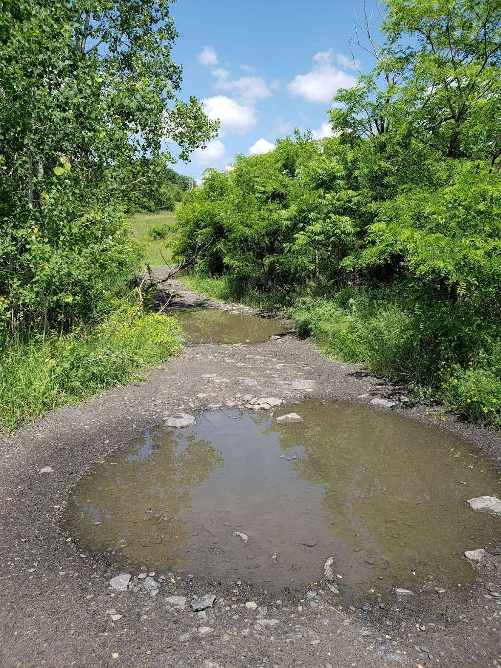 Penobscot Ridge Mountain Bike Trail | Penobscot Ridge Mountain Bike Trail, Nanticoke, PA 18634, USA