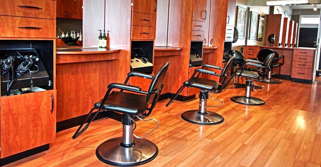 Hair Can Dance | 2914 E 6th Ave, Denver, CO 80206 | Phone: (303) 333-2493