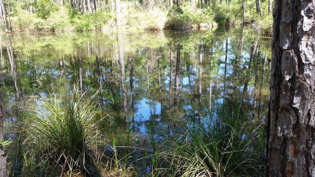 Lone Star Hiking Trail Pond | 5 Alabama 6, Lawley, AL 36793, USA