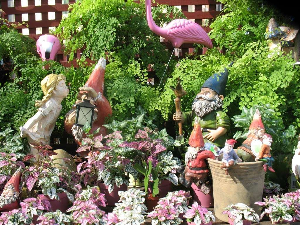 Green Thumb Nursery - San Marcos | 1019 W San Marcos Blvd, San Marcos, CA 92078, USA | Phone: (760) 744-3822