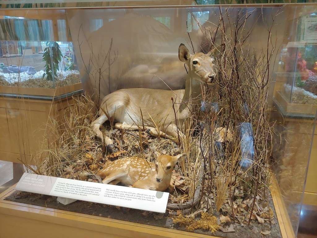 Little Red Schoolhouse Nature Center | 9800 Willow Springs Rd, Willow Springs, IL 60480, USA | Phone: (708) 839-6897