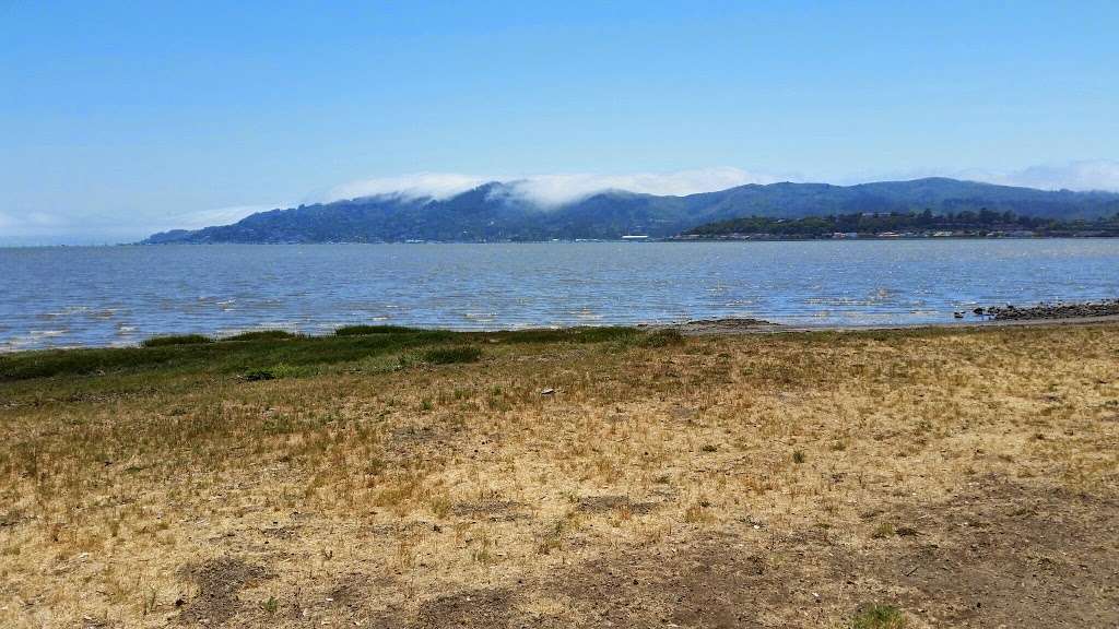 Blackies Pasture | Tiburon Blvd, Tiburon, CA 94920, USA | Phone: (415) 499-6387