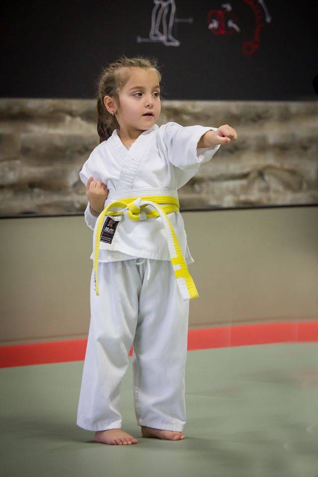 Shushinkan Karate | 2463 Dougall Ave, Windsor, ON N8X 1T3, Canada | Phone: (519) 250-3456