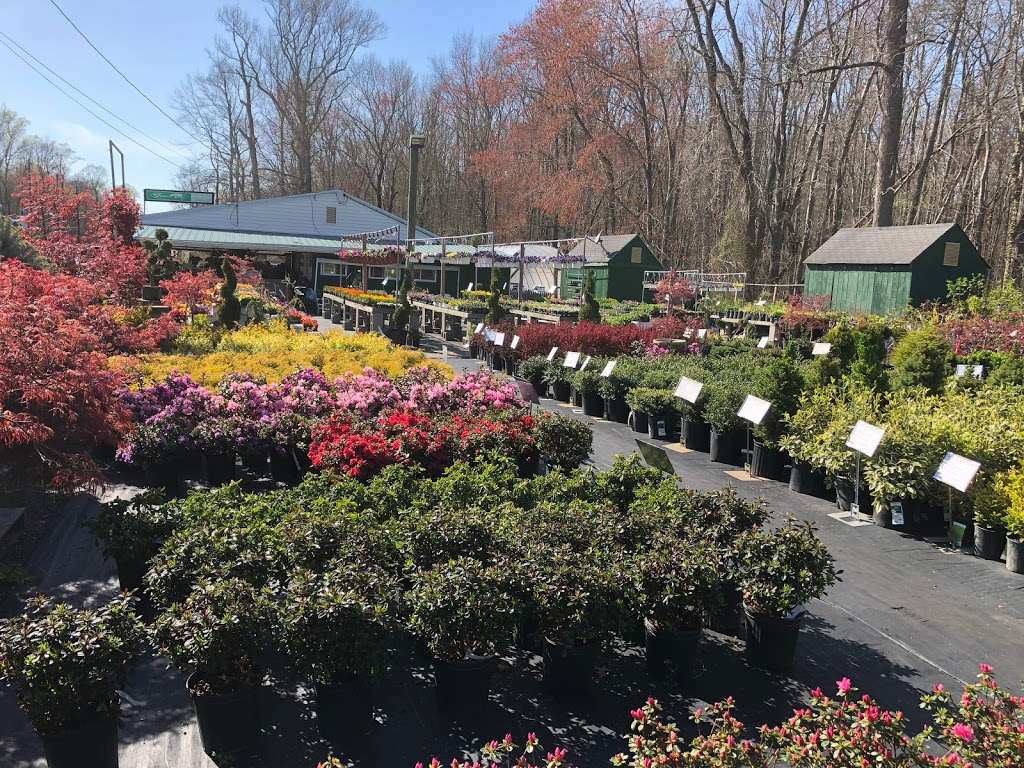 Green Top Farm Market | 2823, 1811 NJ-70, Southampton Township, NJ 08088, USA | Phone: (609) 859-3401