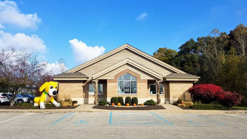 Ark of the Dunes Animal Hospital | 135 E 1100 N, Chesterton, IN 46304, USA | Phone: (219) 926-9797