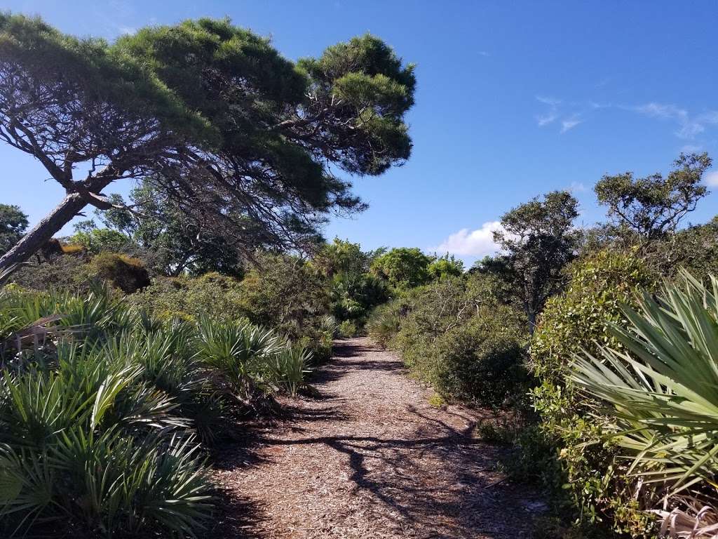 Jupiter Inlet Lighthouse Outstanding Natural Area | 600 County Hwy 707, Tequesta, FL 33469, USA | Phone: (561) 295-5953