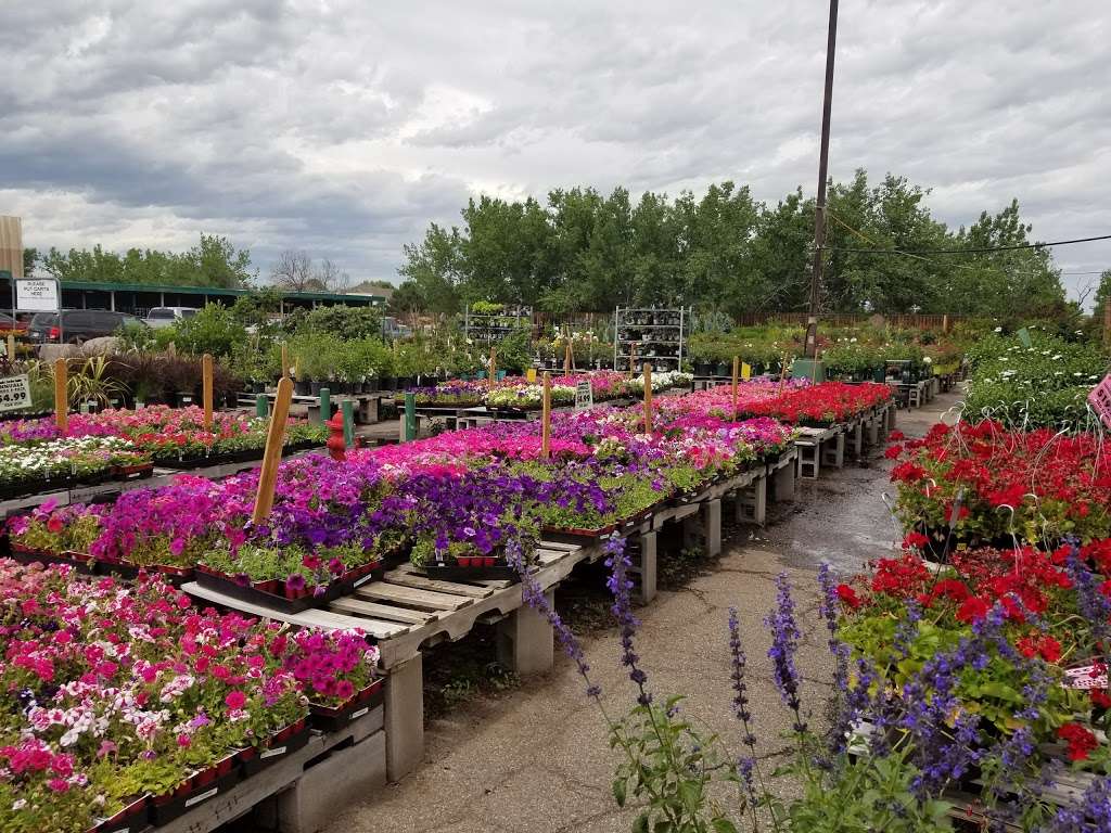 OTooles Garden Center | 9400 Wadsworth Pkwy, Broomfield, CO 80021, USA | Phone: (303) 423-8361