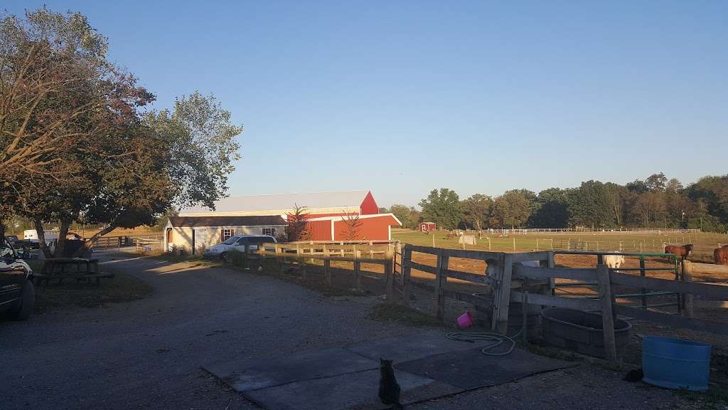 New Beginnings Horse Rescue and Sanctuary at Creekside Stables | 9912 Masser Rd, Frederick, MD 21702, USA | Phone: (301) 693-8457