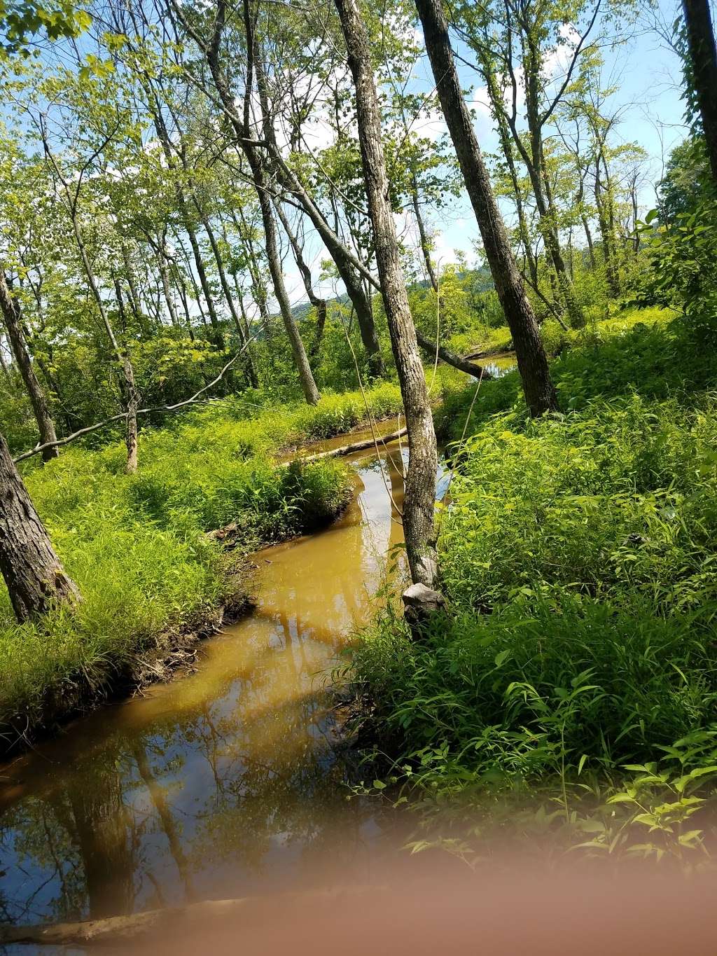 Julie J. Metz Neabsco Creek Wetlands Preserve | 15875 Neabsco Rd, Woodbridge, VA 22191, USA | Phone: (703) 499-9812