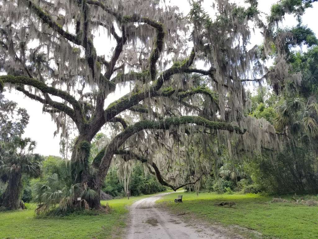 Carney Island Recreation & Conservation Area | 13275 SE 115th Ave, Ocklawaha, FL 32179, USA | Phone: (352) 671-8560