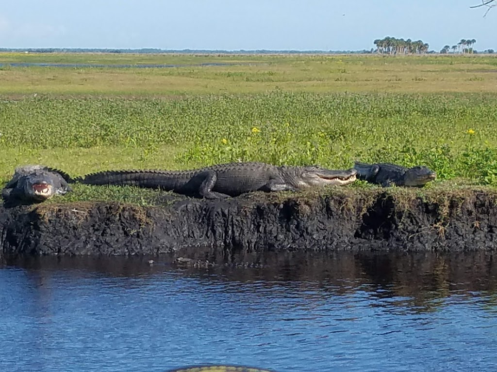 Airboat Rides at MIDWAY | 28501 E Colonial Dr, Christmas, FL 32709, USA | Phone: (407) 568-6790