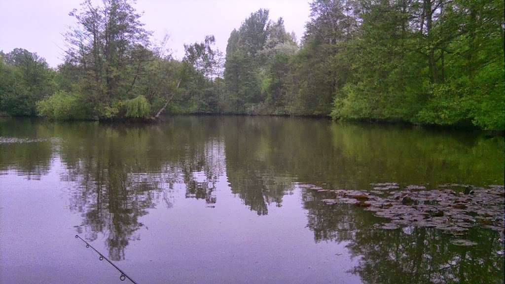 Bentley Fishery - Carp Lake | Mores Ln, Brentwood CM14 5RU, UK | Phone: 07939 074089